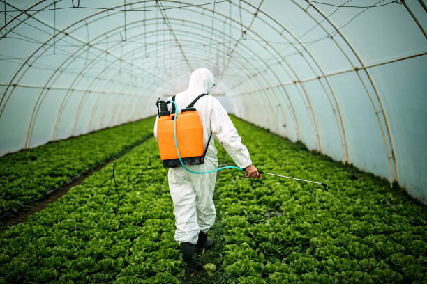 Best Pest Removal Services  in San Diego, TX
