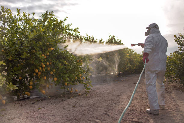 Best Best Pest Control Companies  in San Diego, TX