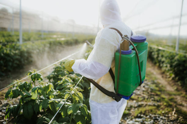 Wildlife Control Services in San Diego, TX